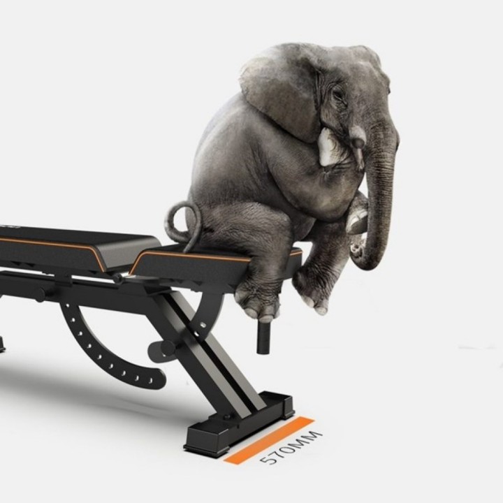 Спортивная скамья Xiaomi Fed Home Multifunctional Fitness Dumbbell Bench Black (FED-0228)