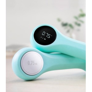 Умные гантели Xiaomi Move It Beat Tiffany (MVDB012)