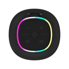 Беспроводная колонка Canyon BSP-8 (CNE-CBTSP8B), 10 Вт, черный