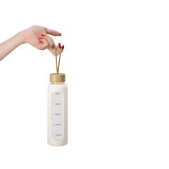 Бутылка из боросиликатного стекла "Hangy", 550 мл, офвайт