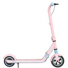 Электросамокат Xiaomi Ninebot KickScooter Zing E8
