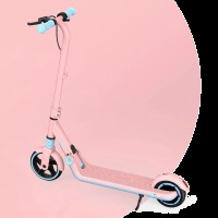 Электросамокат Xiaomi Ninebot KickScooter Zing E8