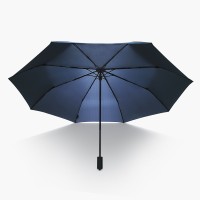 Зонт Xiaomi NINETYGO Oversized Portable Umbrella, стандартная версия (90COTNT1807U-BL01)