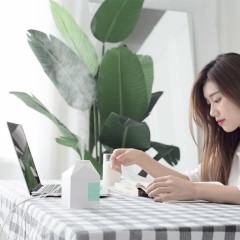 Портативный увлажнитель воздуха 260 мл Xiaomi Bcase MilkBox (DSHJ-H-001)