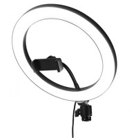 Кольцевая светодиодная лампа, 32 см Qwerty KissFashion (+штатив 215 см, держатель для смартфона)