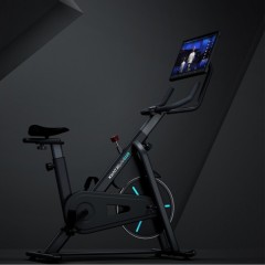 Велотренажер c 10-дюймовым экраном Xiaomi Xiao Qiao (Q100/Q100X)