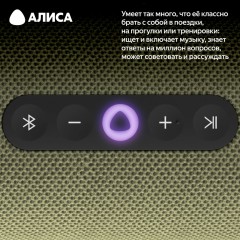 Умная портативная колонка Яндекс Станция Стрит (YNDX-00030GRN)