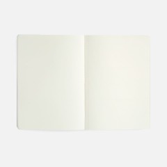 Ежедневник Vale New, недатированный, оранжевый