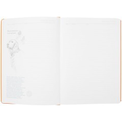 Ежедневник «История изобретений», недатированный, оранжевый