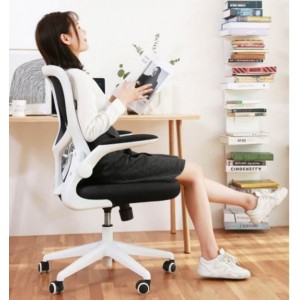Компьютерное кресло Xiaomi HBADA Ergonomic Double Waist Chair White (HDNY163WM)