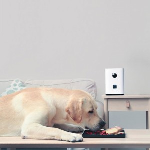 Умная кормушка для животных с камерой Xiaomi Pawbby White (MG-PSM001A)