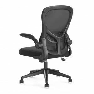 Компьютерное кресло Xiaomi HBADA Ergonomic Double Waist Chair Black (HDNY163WM)