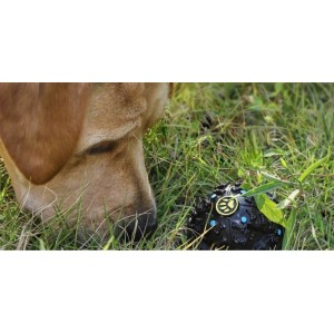 Игрушка для животных с утечкой корма Xiaomi Youpin XiaoShouXing Pet Black (XT28-5001)