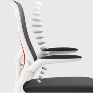 Компьютерное кресло Xiaomi HBADA Ergonomic Double Waist Chair White (HDNY163WM)