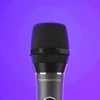 Микрофон Xiaomi Ray Stone KTV Black