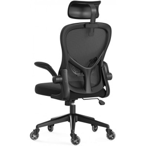 Компьютерное кресло Xiaomi Hbada Ergonomic Double Waist Chair, White (HDNY163WS)