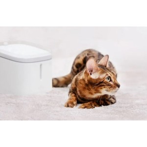 Дозатор воды для животных Xiaomi Kitten&Puppy Water Dispense White (MG-WF001)