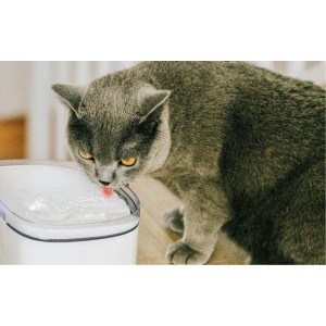 Дозатор воды для животных Xiaomi Petoneer MINI Smart Water Dispenser White (FSL030)