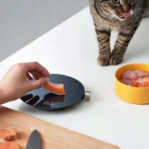 Умные кухонные весы Xiaomi Hoto Smart Kitchen Scale (QWCFC001)
