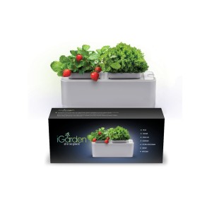 Компактный смарт-сад «iGarden»