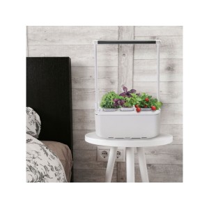 Компактный смарт-сад «iGarden PRO» с подсветкой