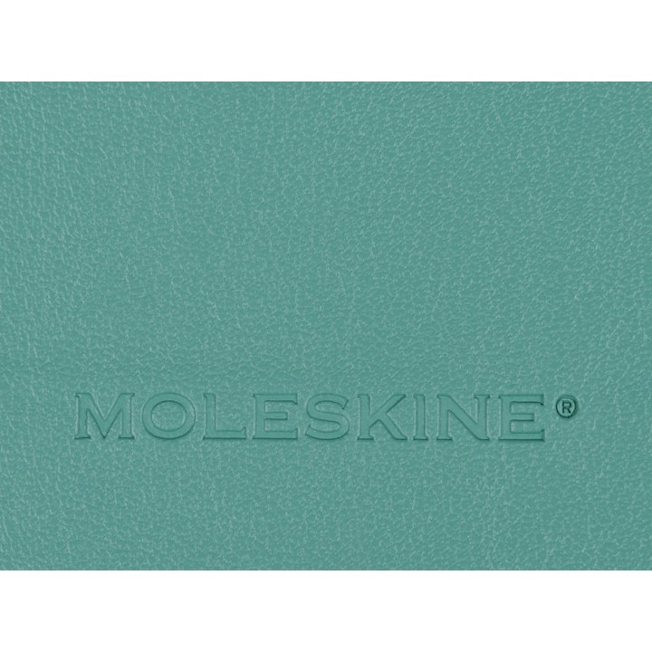 Записная книжка А5 (Large) Classic Soft (в линейку)