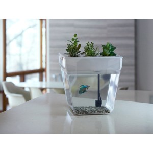 Набор для выращивания растений и ухода за рыбкой «Акваферма»