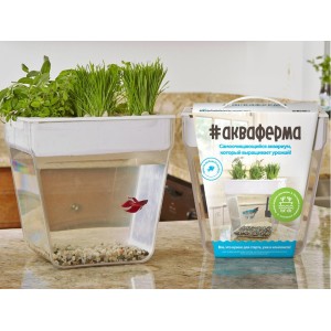 Набор для выращивания растений и ухода за рыбкой «Акваферма»