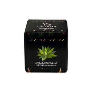 Набор для выращивания «Small village cube «Агава Благородная»