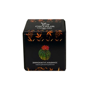 Набор для выращивания «Small village cube «Эхинокактус Альбинос»