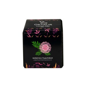 Набор для выращивания «Small village cube «Мимоза стыдливая»