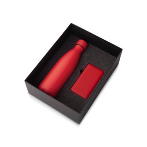 Подарочный набор «COLOR IT» с термобутылкой и повербанком, 5000 mAh