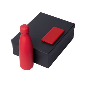 Подарочный набор «COLOR IT» с термобутылкой и повербанком