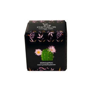 Набор для выращивания «Small village cube «Эхиноцереус»