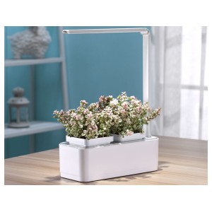 Компактный смарт-сад «iGarden LED» с подсветкой