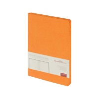 Ежедневник недатированный А5 «Megapolis Color Flex»