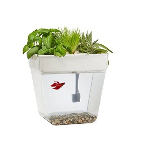 Набор для выращивания растений и ухода за рыбкой «Акваферма»