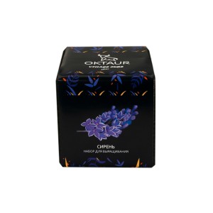 Набор для выращивания «Small village cube «Сирень»