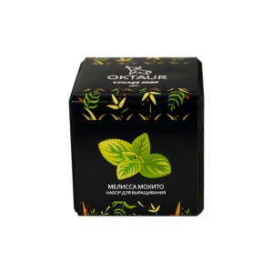 Набор для выращивания «Small village cube «Мелиса Мохито»